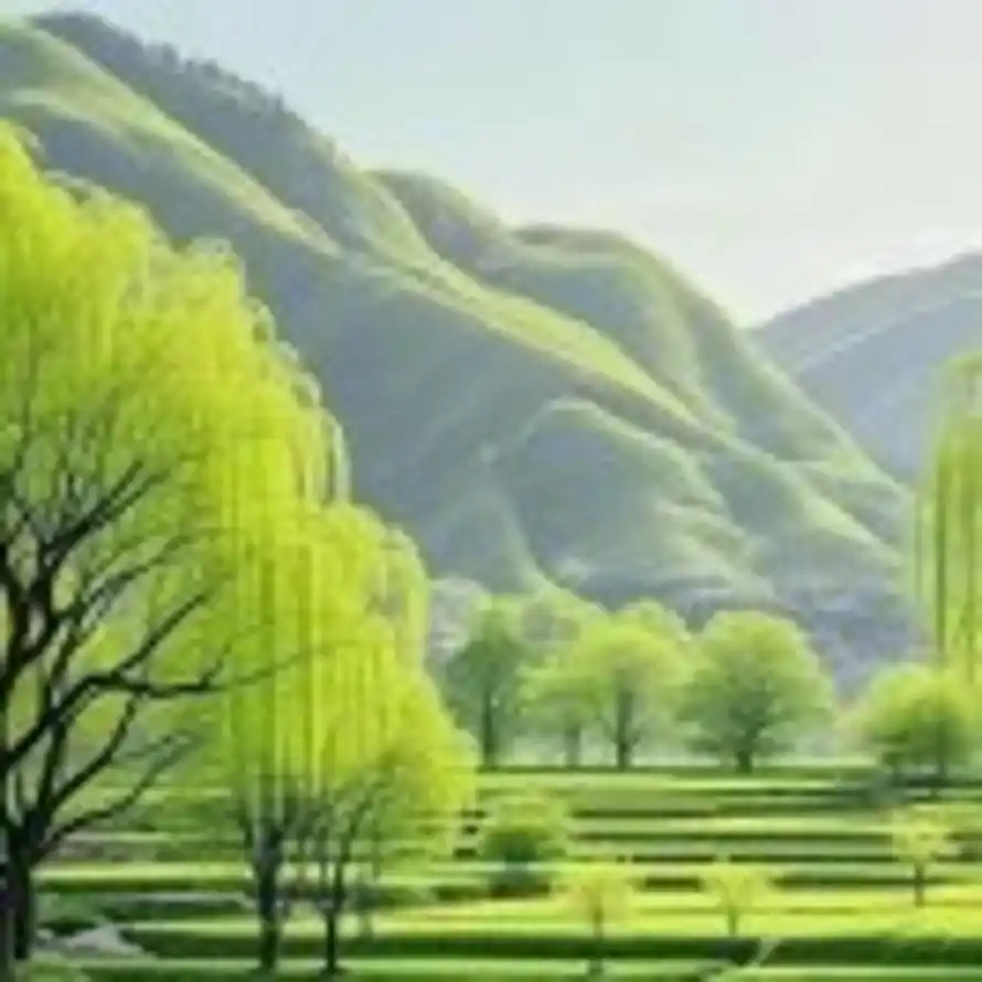 居居家的二哈的头像