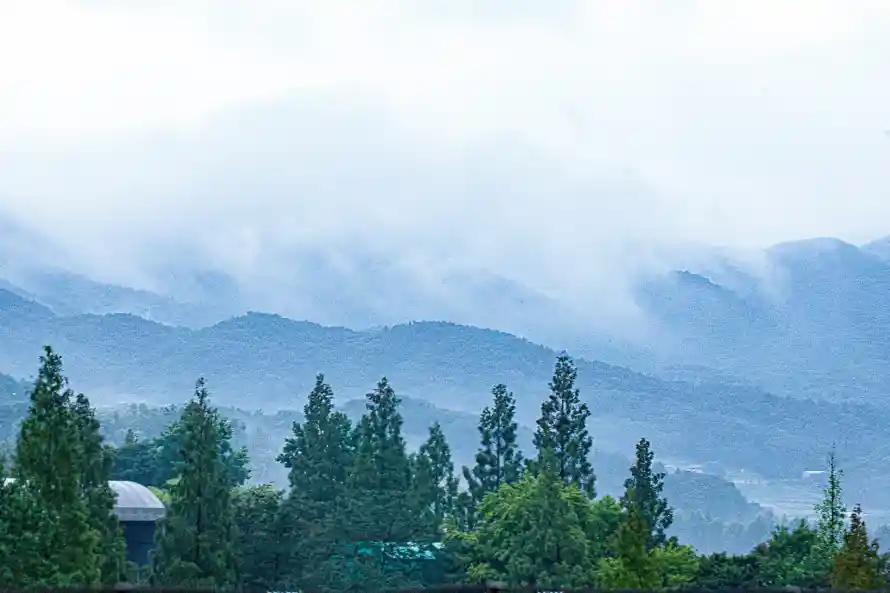 6k云雾壁纸-下雨天与山景-绿色植物壁纸推荐「哲风壁纸」