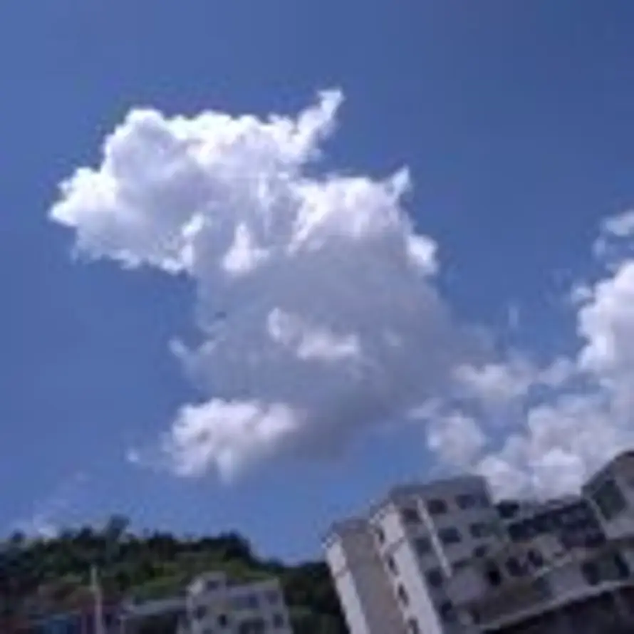 h的用户头像 - 哲风壁纸
