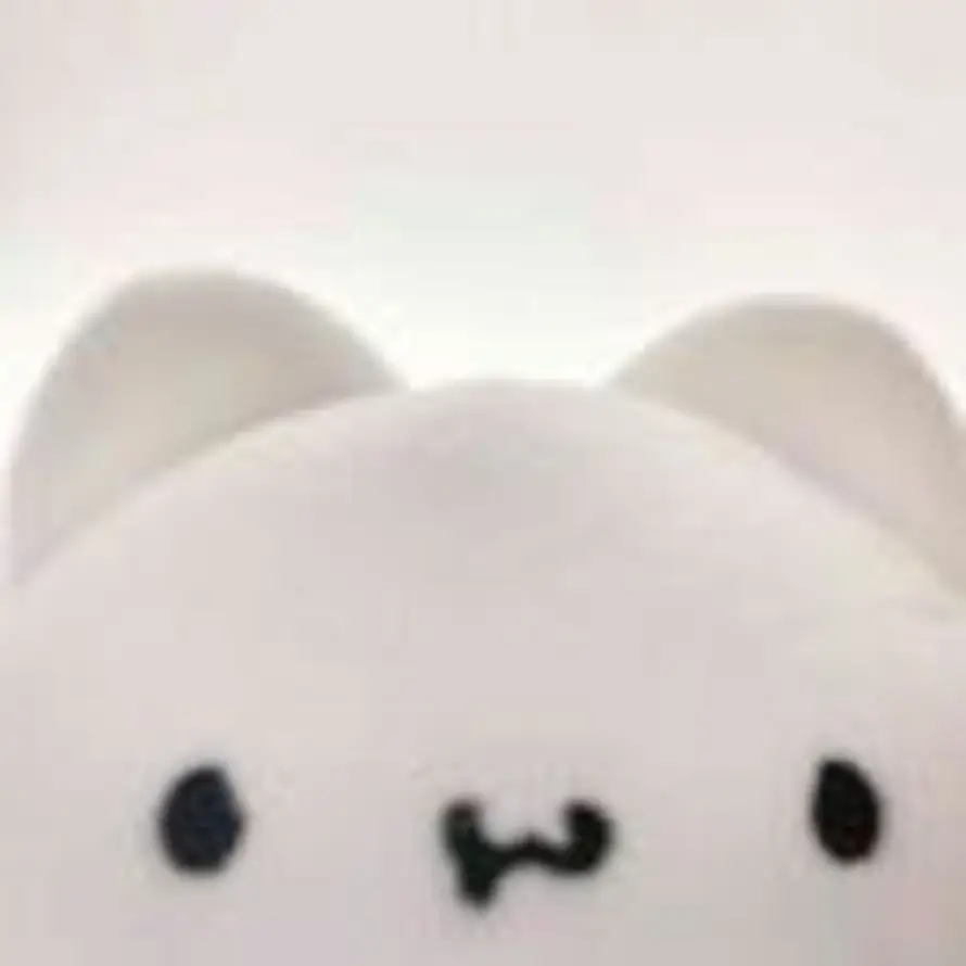s的头像