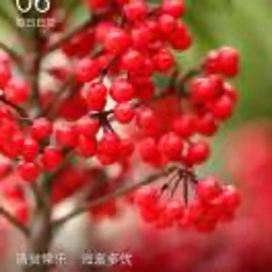 渐渐る习惯了的头像