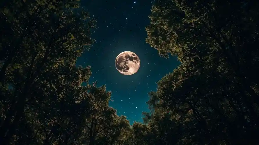 4k图片壁纸 - 好看 - 热门壁纸 - wallpaper「哲风壁纸」