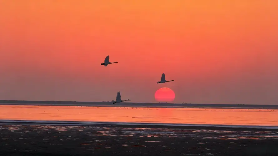 4k日落壁纸 - 黄昏 - 图片 - 夕阳「哲风壁纸」