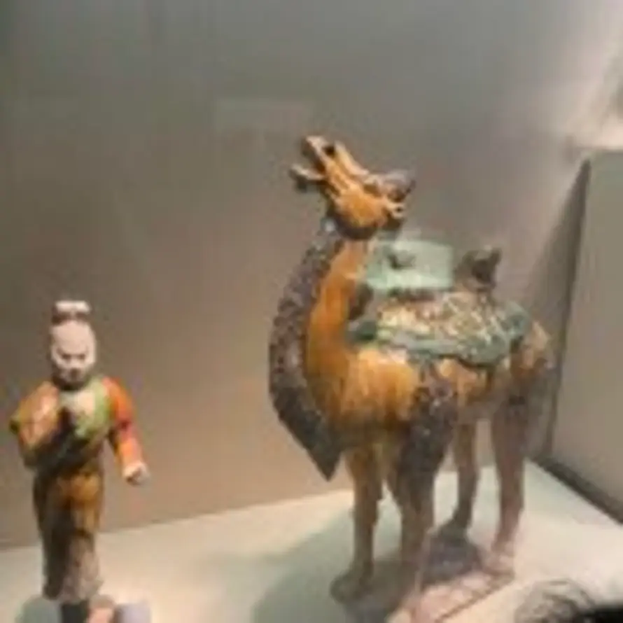 橘子的头像