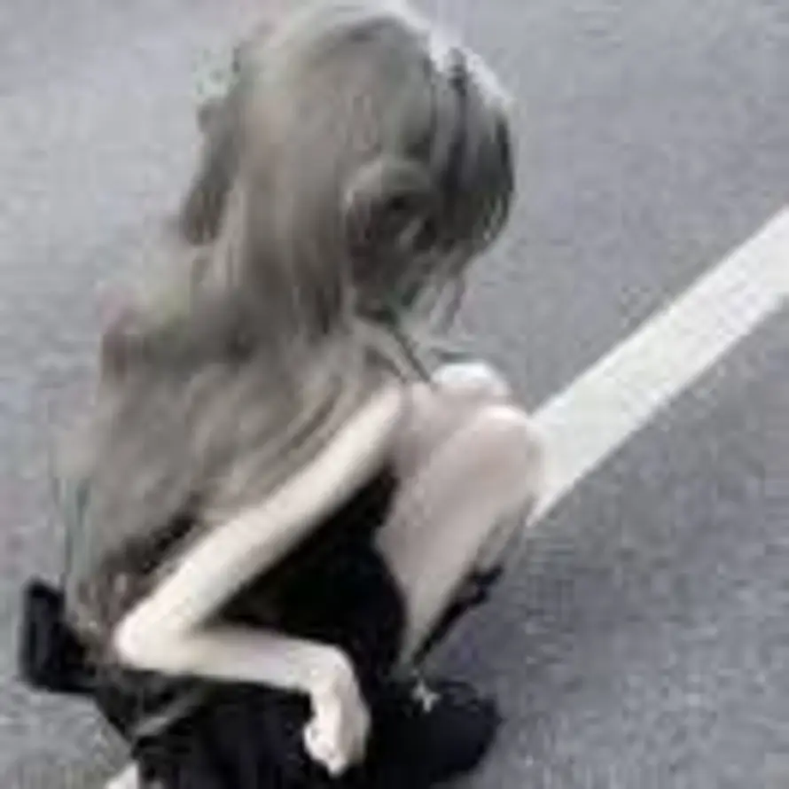 归来仍是天子的头像