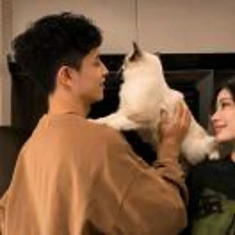 @XQLi的头像