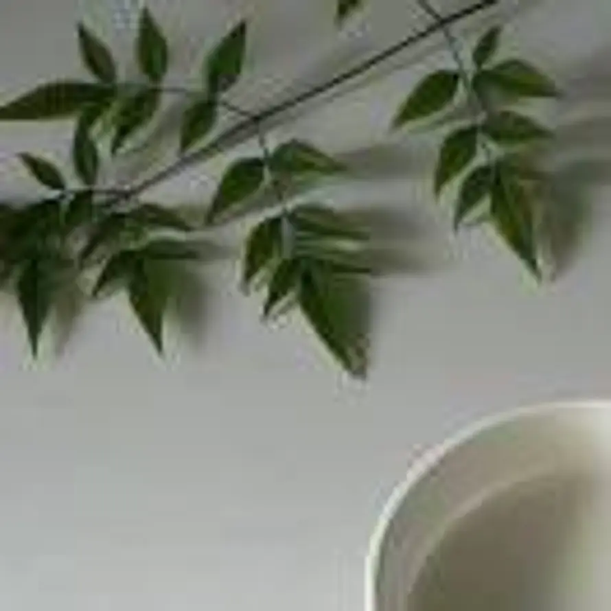 随缘的头像