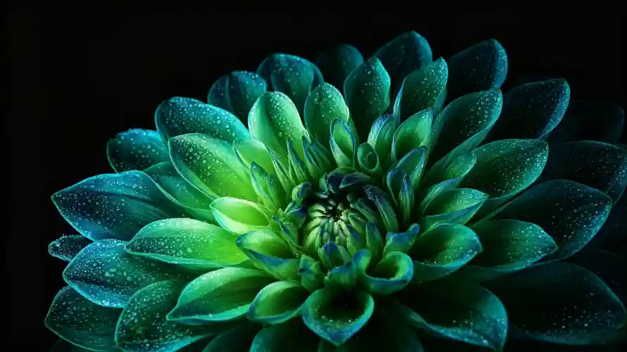 4k图片壁纸 - 好看 - 暗调 - 植物「哲风壁纸」 4k图片壁纸 - 好看 - 暗调 - 植物「哲风壁纸」