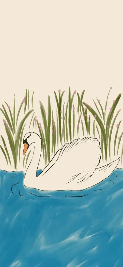 4k插画壁纸 - 水鸟 - 清新 - 湖泊「哲风壁纸」