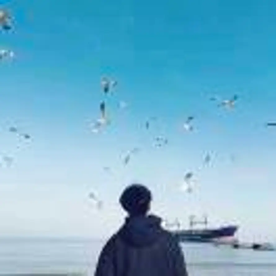 Lee的头像