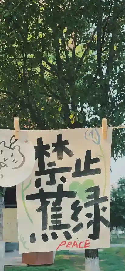 4k户外壁纸 - 晾晒 - 标语 - 树叶「哲风壁纸」