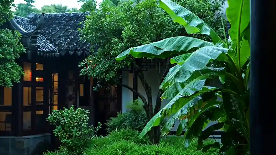 4k古宅壁纸 - 庭院 - 树叶 - 树荫「哲风壁纸」