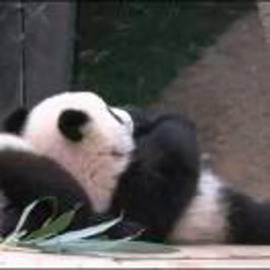 Agoni的头像