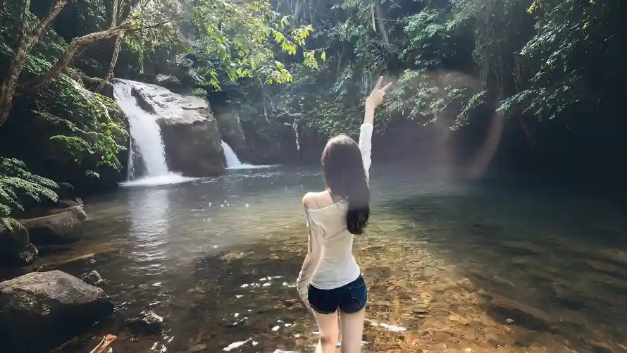 4k户外壁纸 - 森林 - 水潭 - 溪流「哲风壁纸」