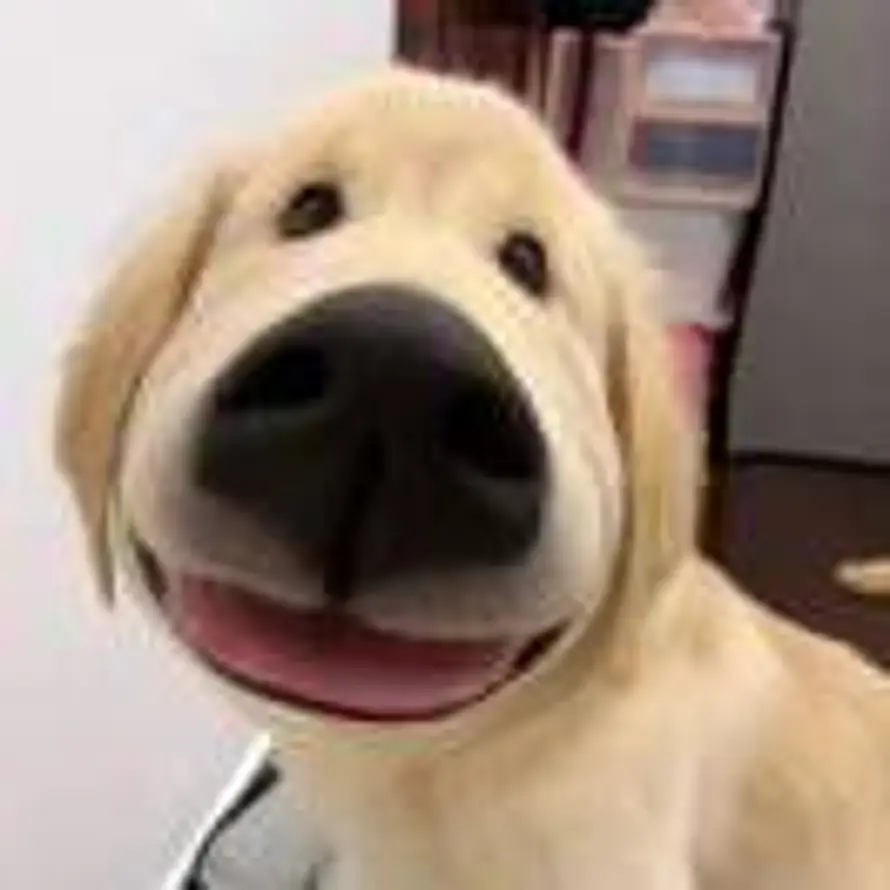  的头像