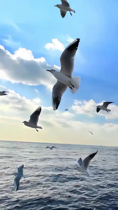 4k大海壁纸 - 治愈 - 海边 - 海面「哲风壁纸」