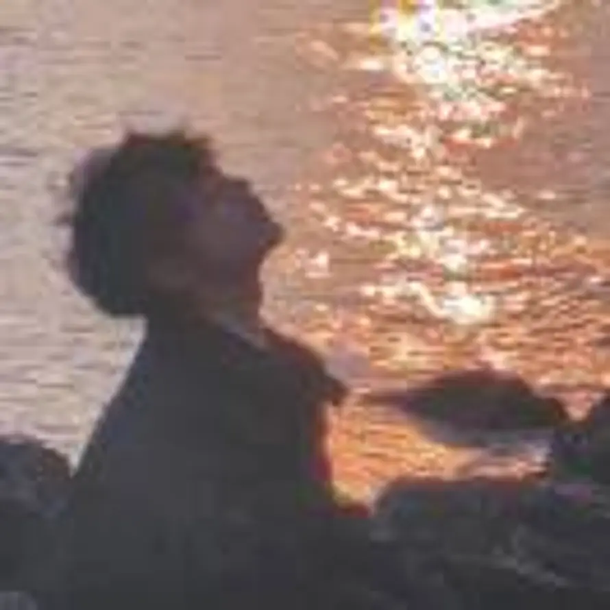 C.的头像