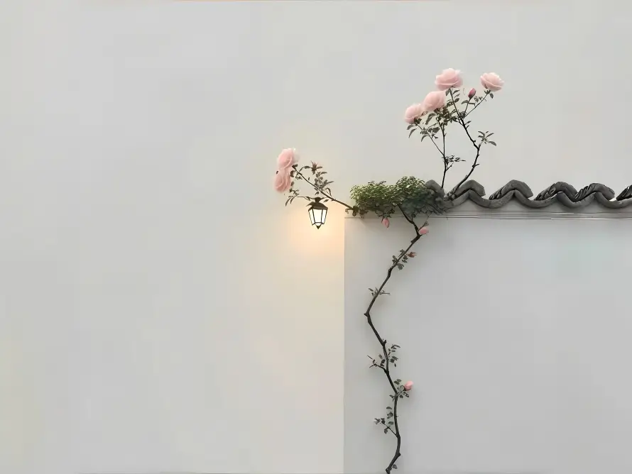 4k壁灯壁纸 - 治愈 - 白墙 - 绿植「哲风壁纸」