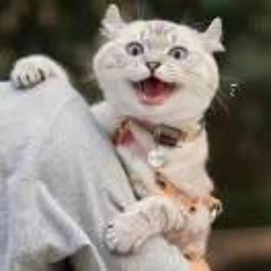 方圆的头像