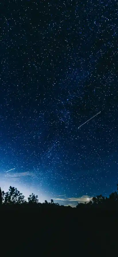 4k夜晚壁纸 - 夜空 - 星空 - 树影「哲风壁纸」