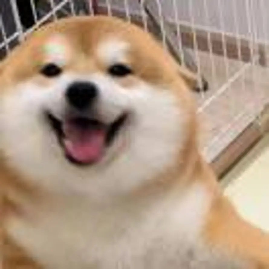 初 一的头像