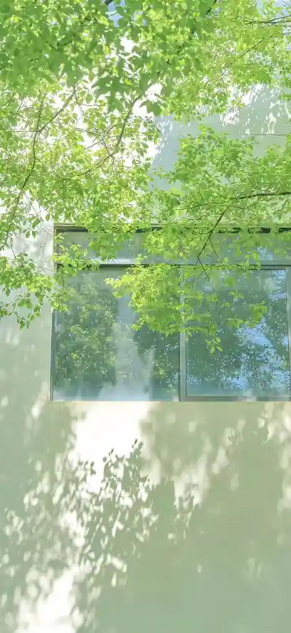 4k光影壁纸 - 夏日 - 树叶 - 树荫「哲风壁纸」