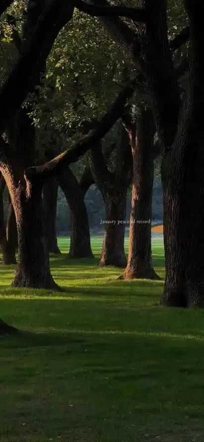主题背景图片