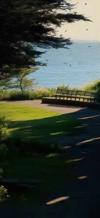 4k吹风壁纸 - 户外 - 林荫 - 树木「哲风壁纸」