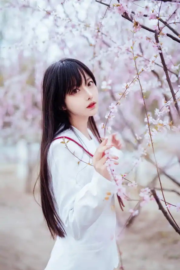 主题背景图片