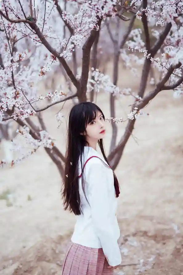 主题背景图片