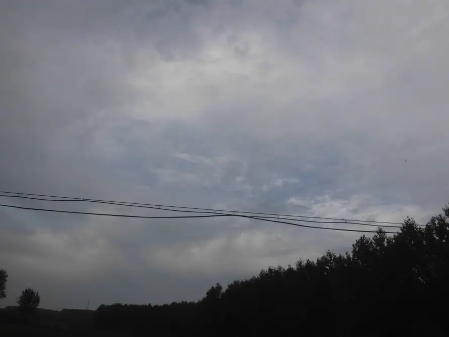 4k电线壁纸 - 阴天 - 剪影 - 天空「哲风壁纸」
