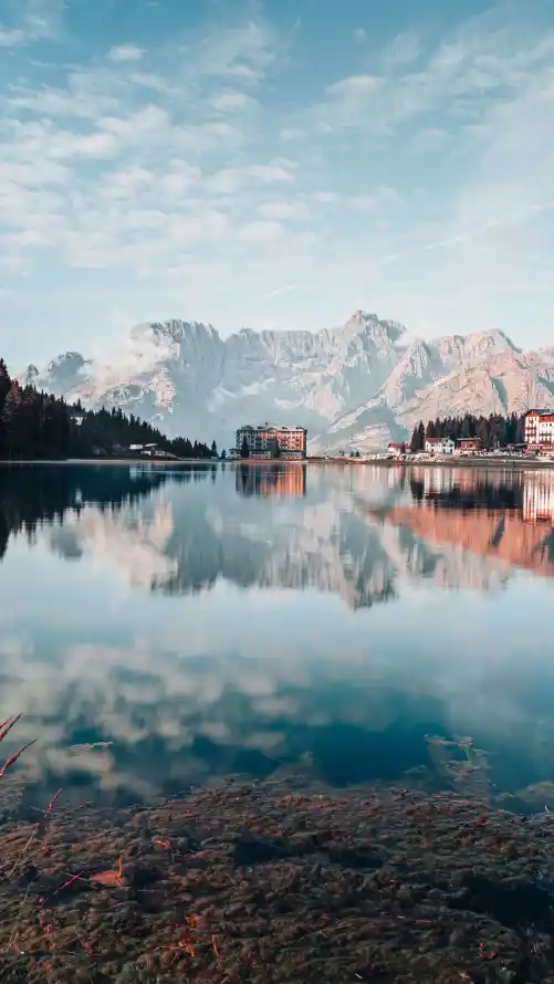 主题背景图片