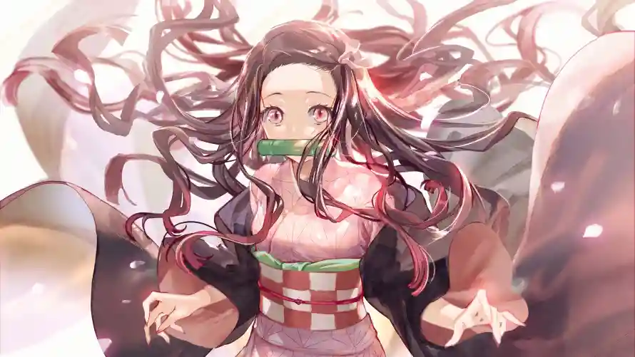 最喜欢的图像