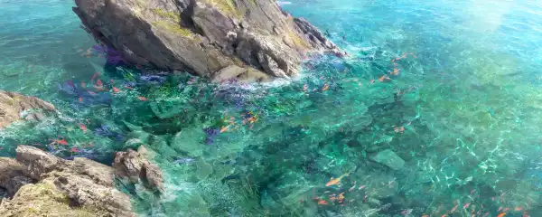 4k岩石壁纸 - 水 - 河 - 鱼「哲风壁纸」 4k岩石壁纸 - 水 - 河 - 鱼「哲风壁纸」