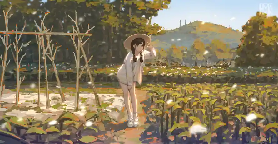 最喜欢的图像