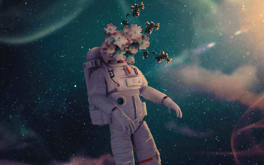 最喜欢的图像
