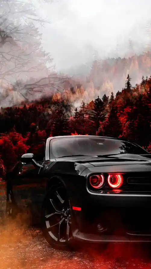 4k车灯壁纸 - 轮胎 - 汽车轮胎 - Dodge「哲风壁纸」