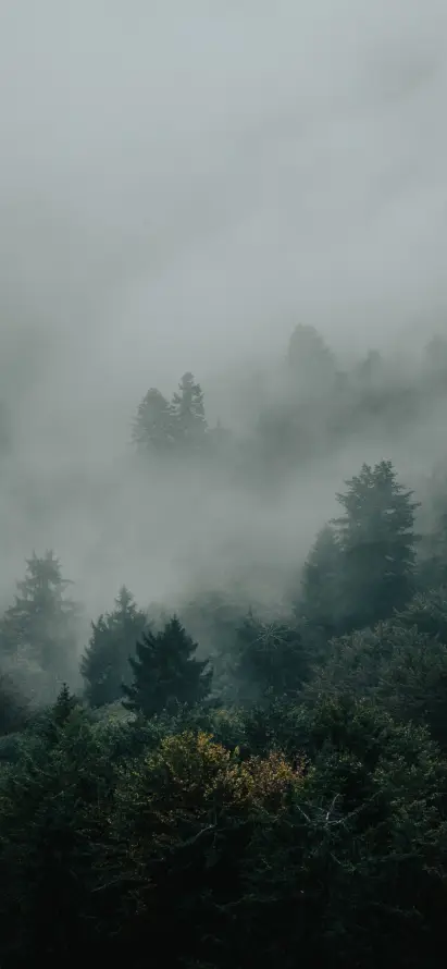 主题背景图片