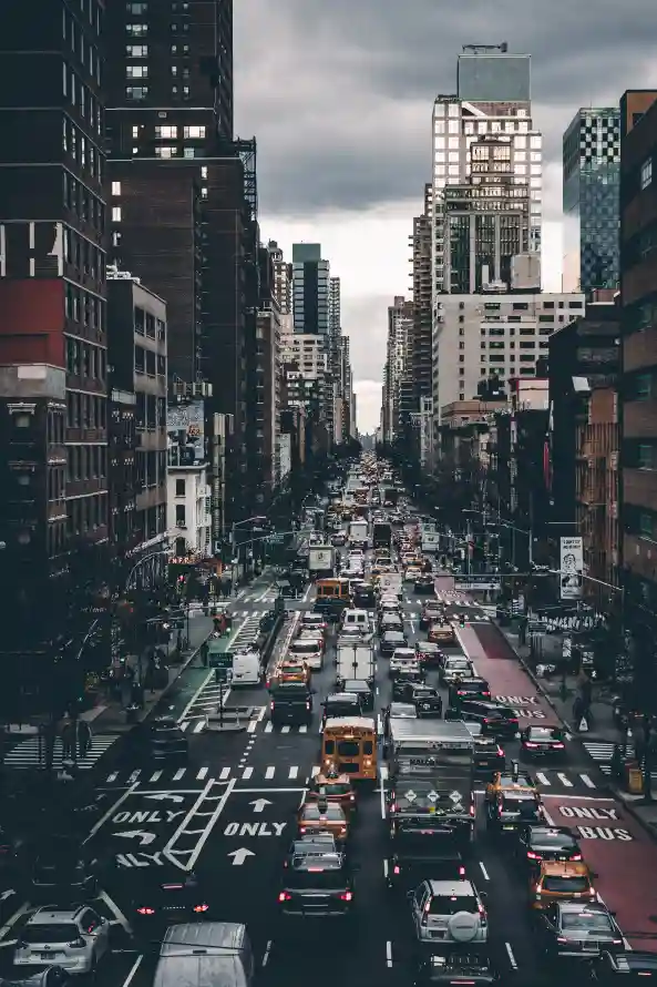 最喜欢的图像