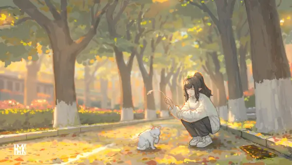 4k芸汐壁纸 - 树 - 猫 - 路「哲风壁纸」