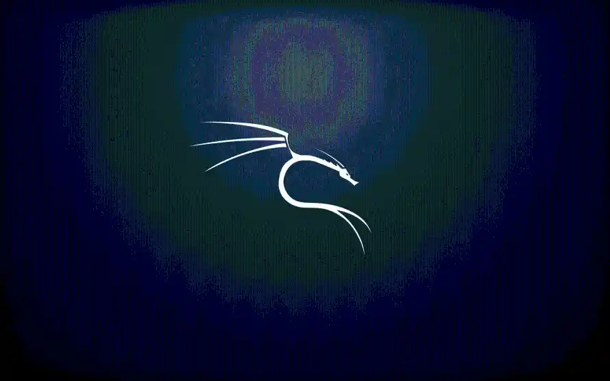 4kkali壁纸 - Linux - 电脑壁纸 - wallpaper「哲风壁纸」