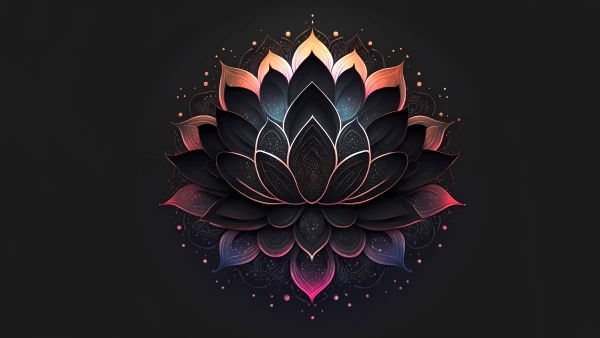 8k花朵壁纸-极简主义和莲花-壁纸分享「哲风壁纸」