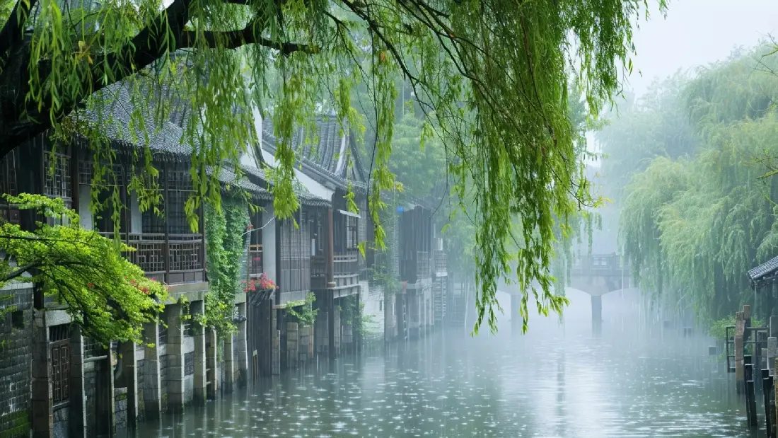2k江南水乡壁纸｜烟雨垂柳背景图片 - 自然「哲风壁纸」