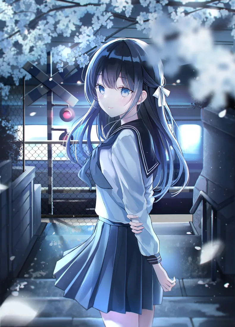 (樱花少女手机壁纸｜夜景校园背景图片 - 萌系)「哲风壁纸」