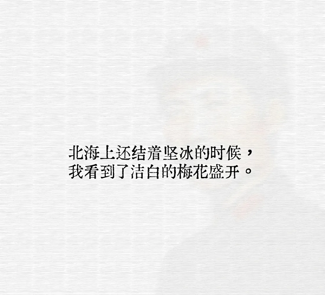 2k文字诗句壁纸｜灰白背景图片 - 北海梅花「哲风壁纸」
