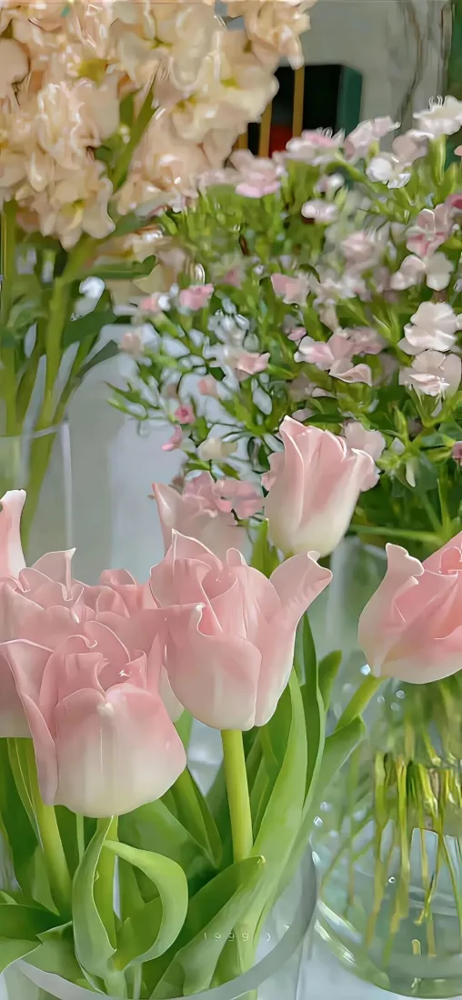 粉色郁金香花束手机壁纸｜缤纷花卉背景图 - 自然风景「哲风壁纸」
