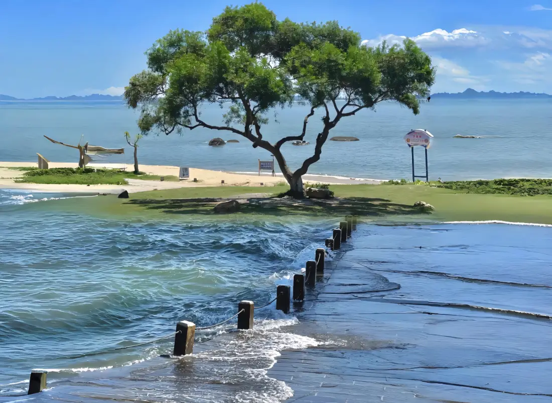 2k海岸风景壁纸｜海边背景图片 - 蓝天海水树「哲风壁纸」