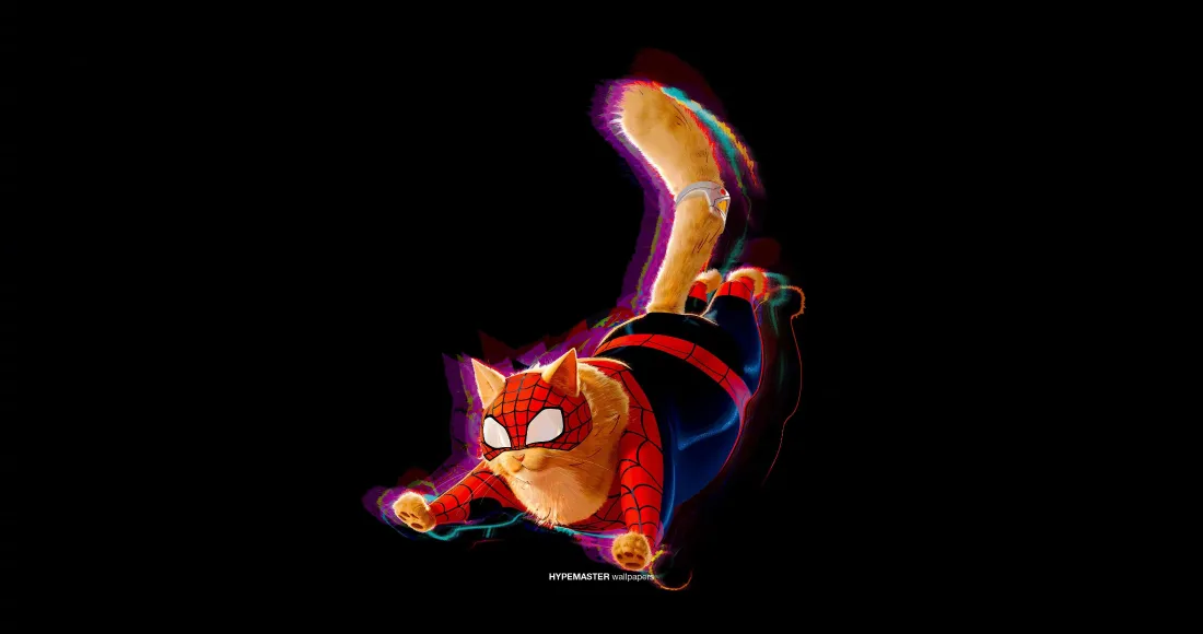 4k蜘蛛猫壁纸｜黑色背景图片 - 蜘蛛侠：纵横宇宙「哲风壁纸」