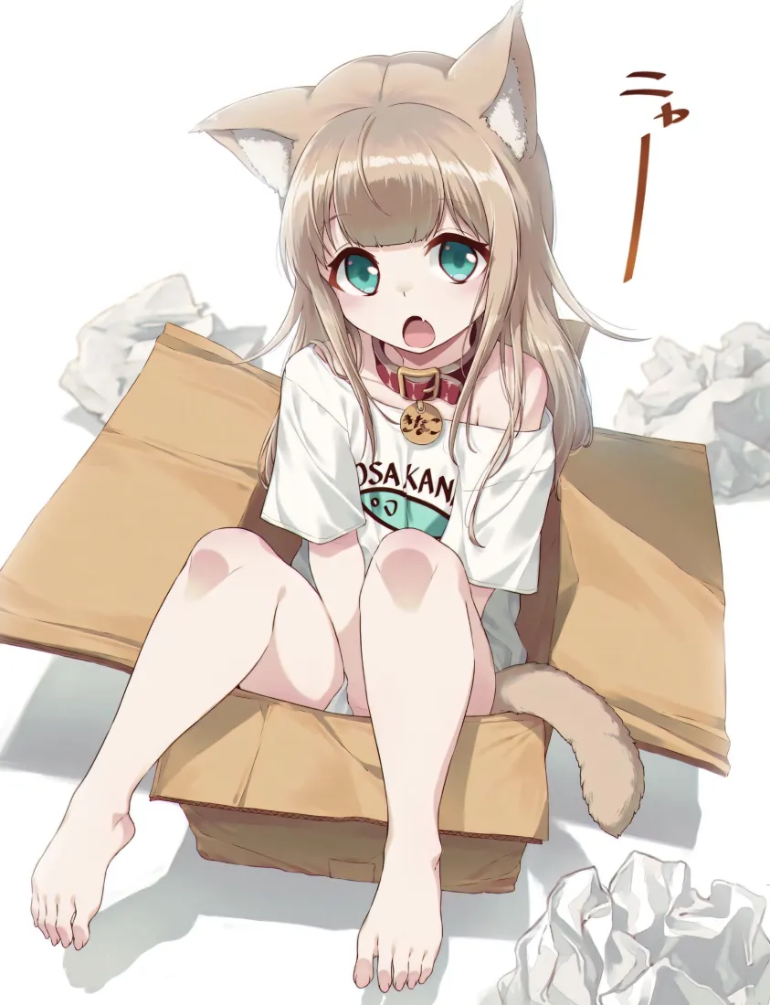 猫娘手机壁纸｜纸盒背景图片 - 黄豆粉兽耳「哲风壁纸」