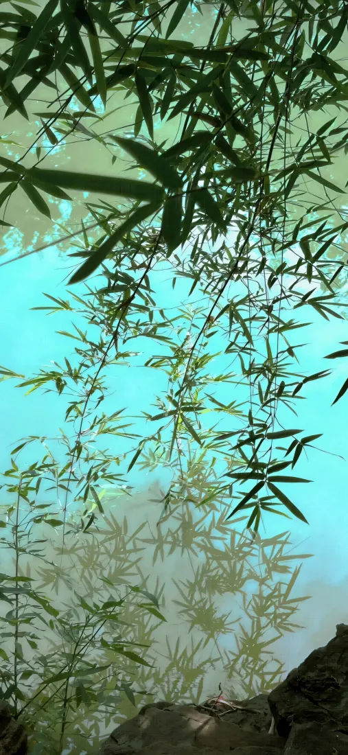 自然风景手机壁纸｜湖水背景图片 - 竹子倒影「哲风壁纸」